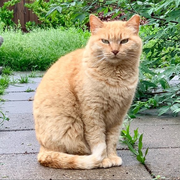 Stripes & Baby - Picture 5 of 8